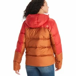 Best Sale 🔥 Marmot Guides Down Hoody 👩 Women copper/cairo ⭐ -Outlet Down Jackets Store marmot guides down hoody women copper cairo 4